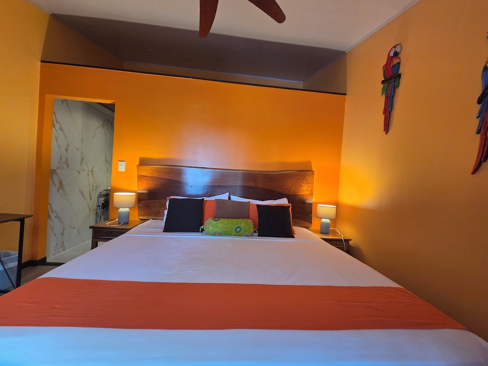 Hotel La Palapa 27/76
