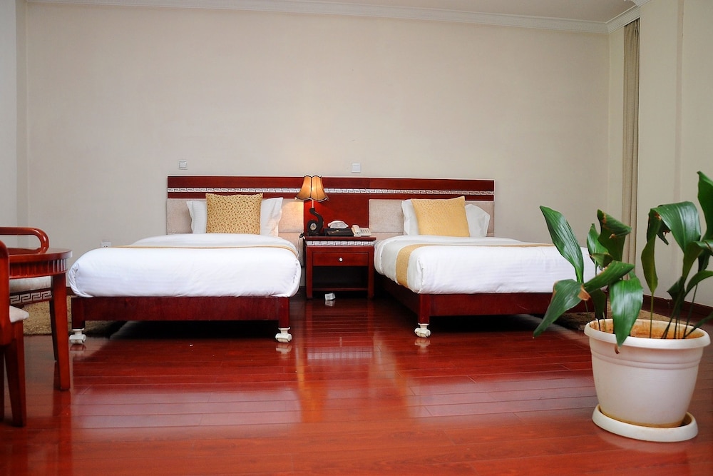 Zola International Hotel 18/50