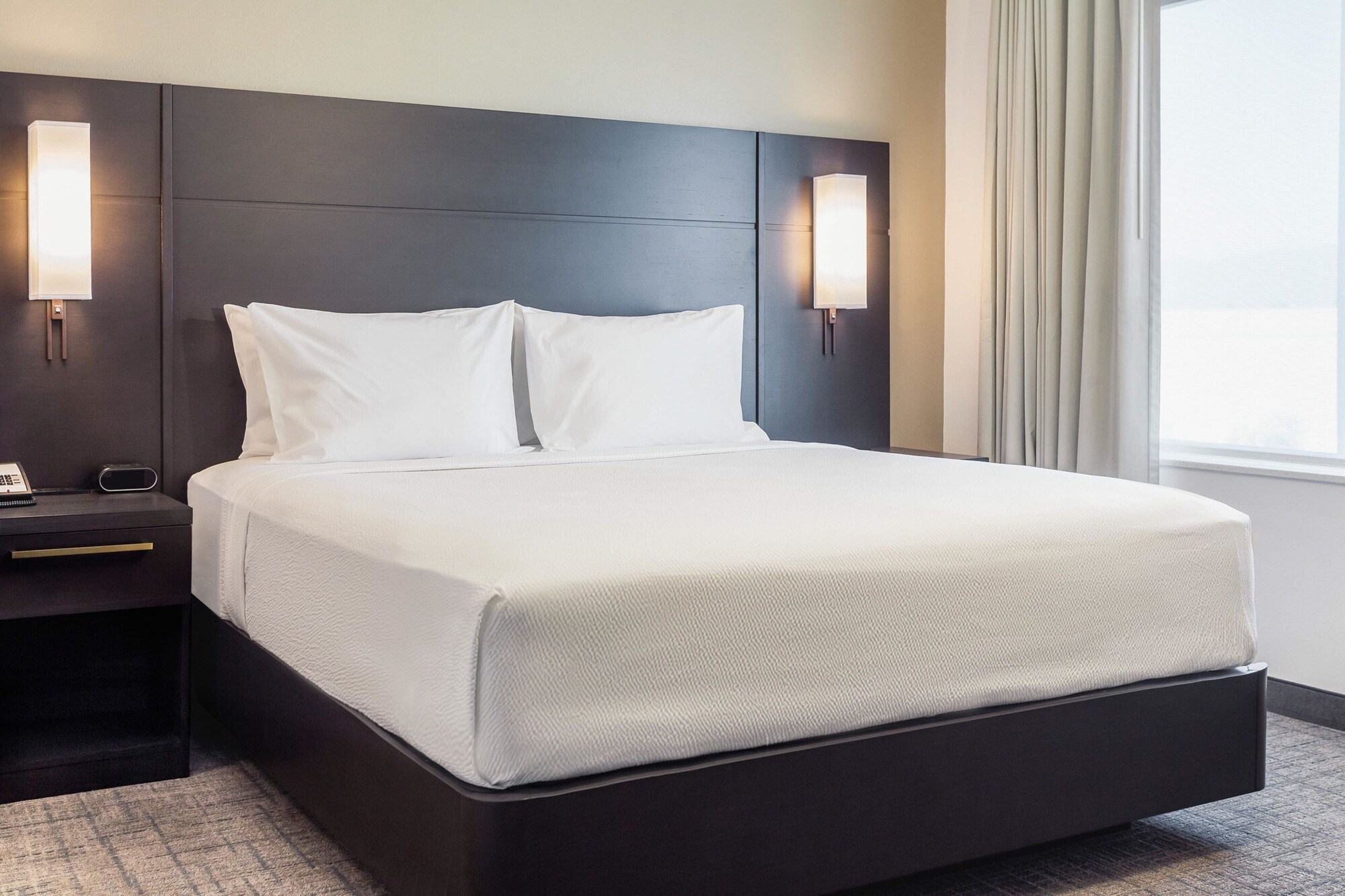 Studio, Suite, King Bed, Sofa