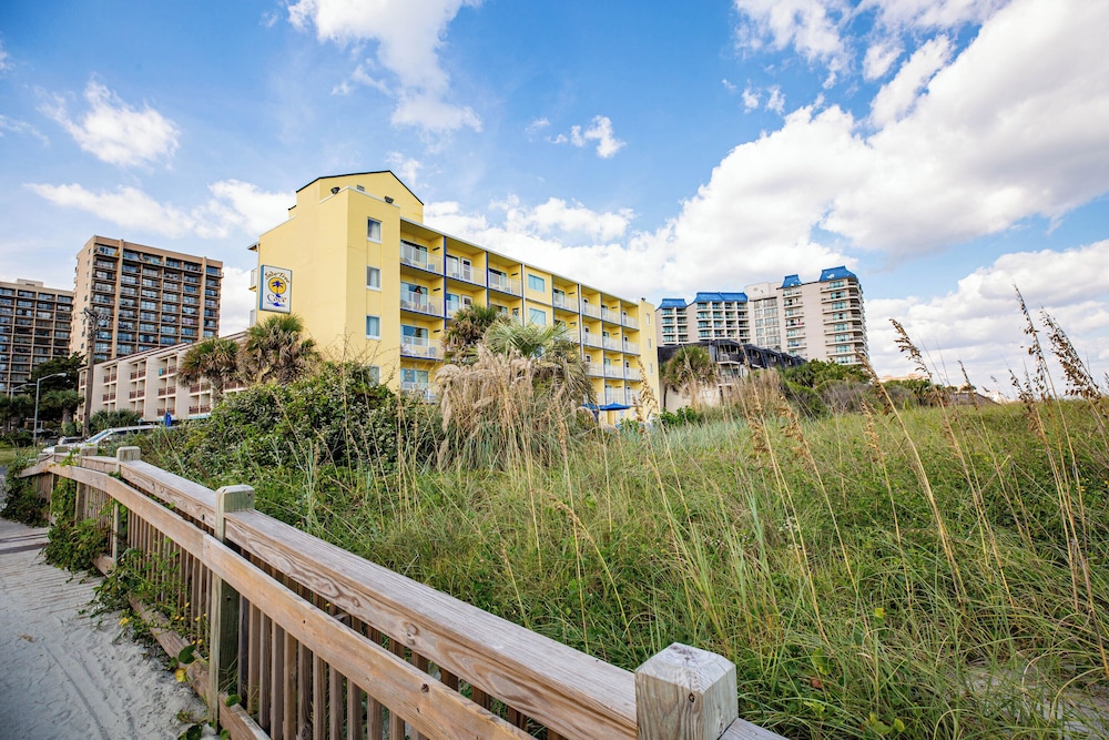 Jade Tree Cove 56/65