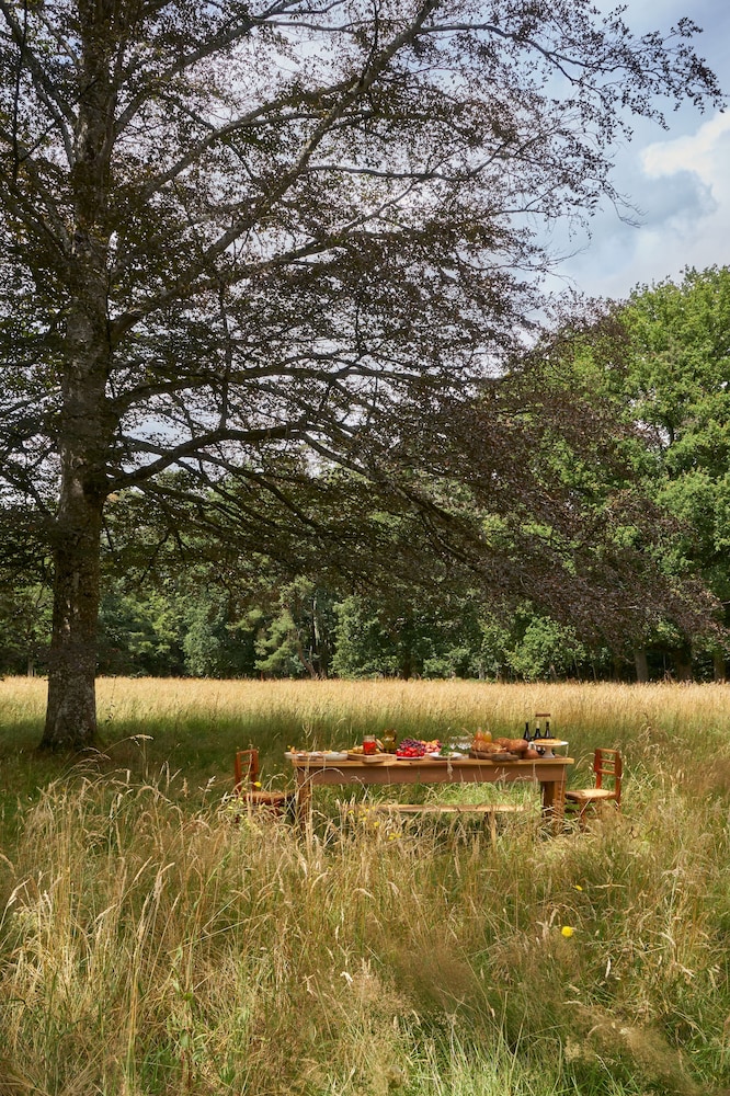 Les Sources de Cheverny 46/51