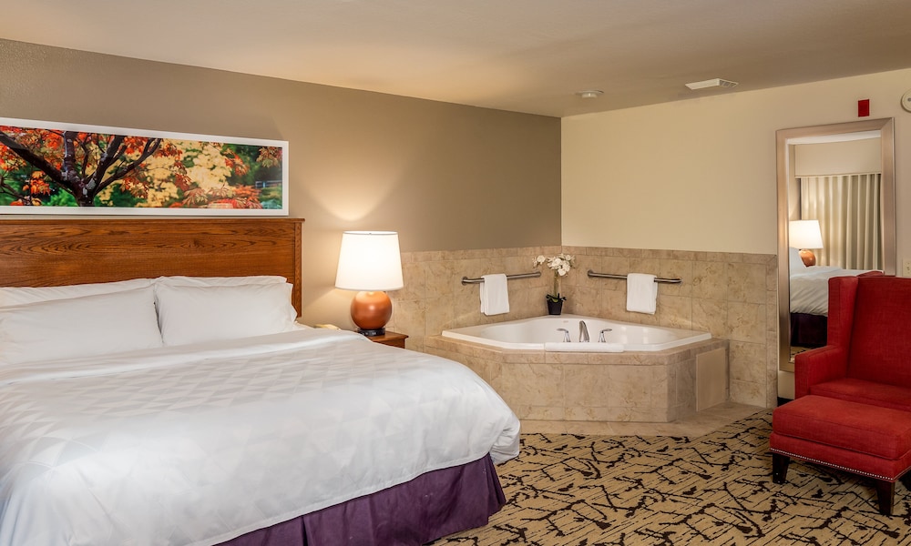 Holiday Inn Stevens Point Convention Ctr 13/72