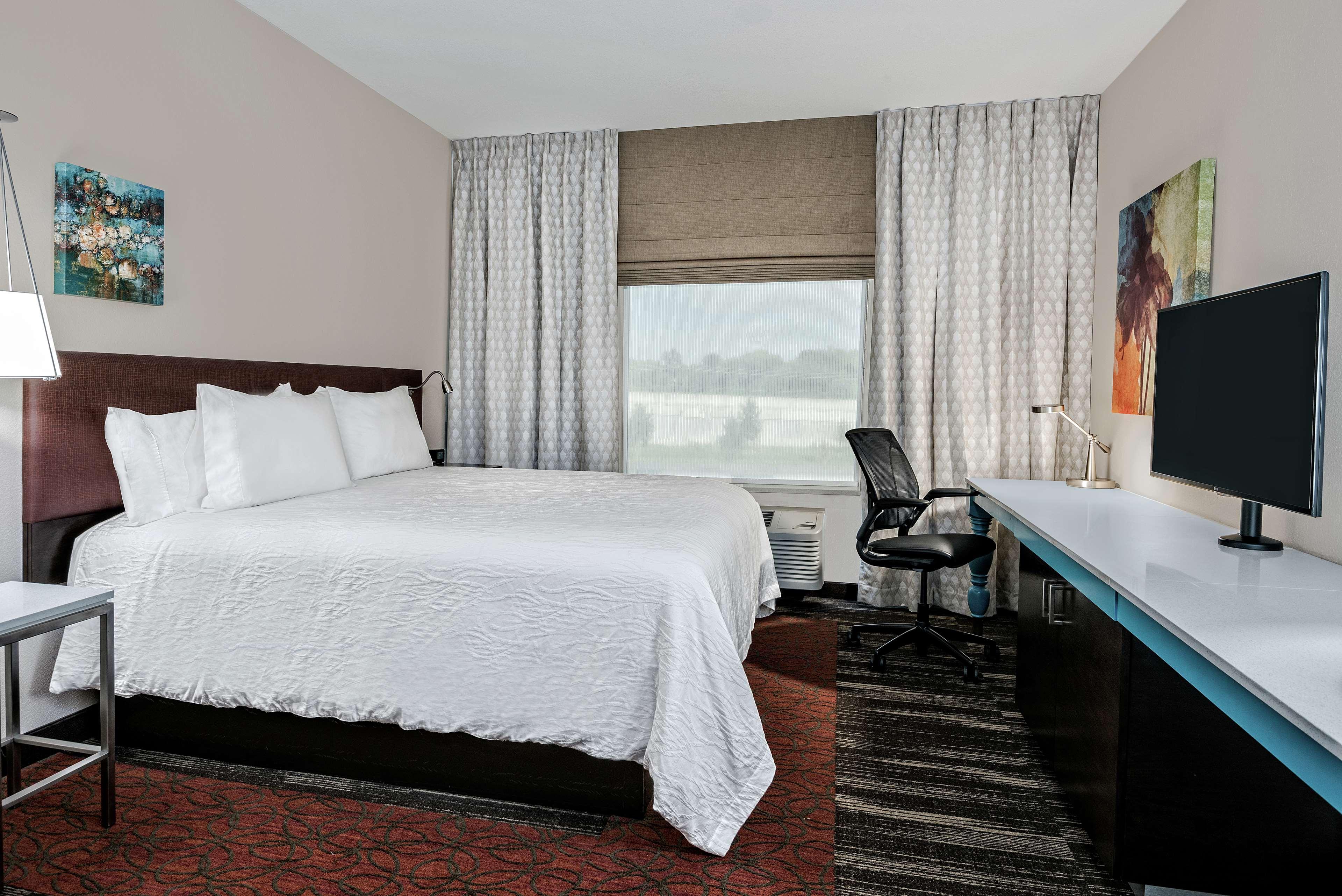 Suite, King Bed