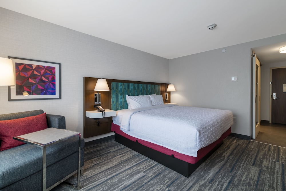 Studio, Suite, King Bed, Sofa