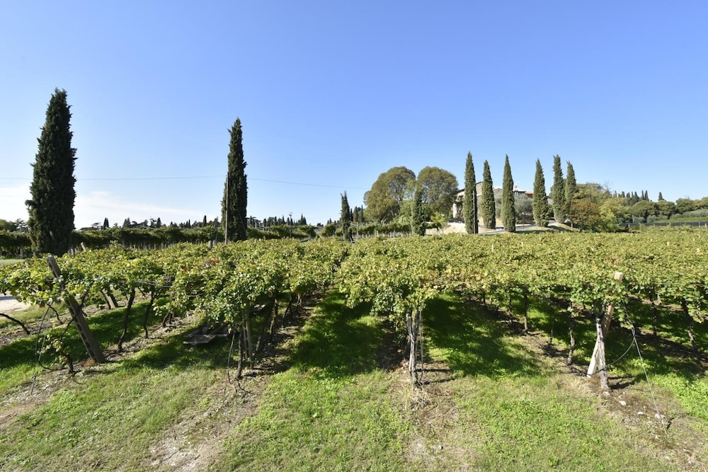 Country House Le Palazzole 19/29