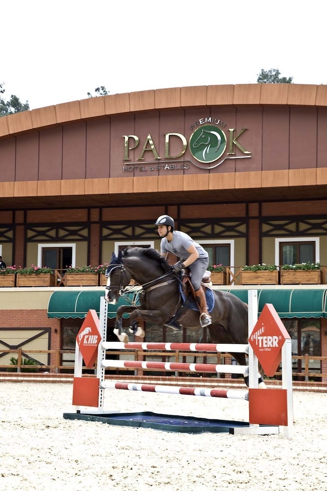 Padok优选酒店and Stables(Padok Premium Hotel and Stables) 图片4