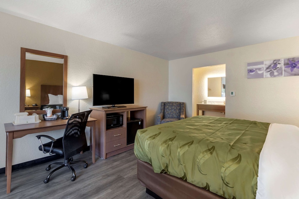 Quality Inn Saint Petersburg North - Tampa Bay 14/33