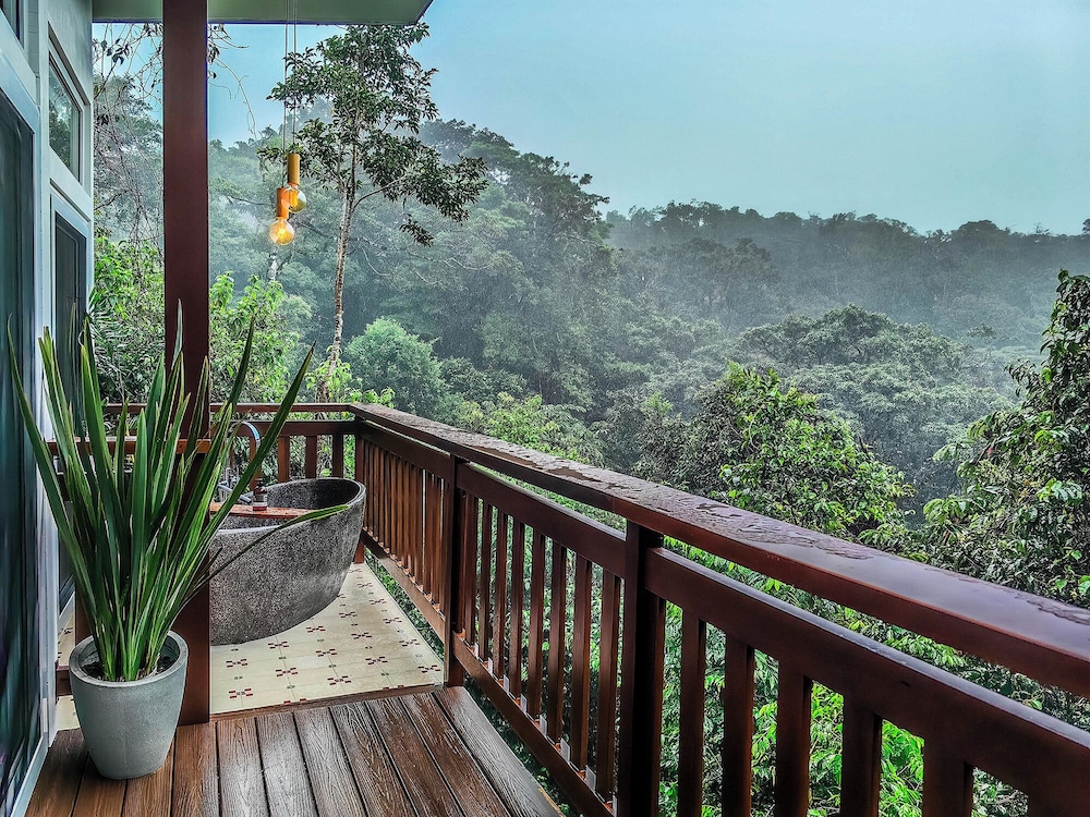 Monteverde Lodge and Gardens 4/50