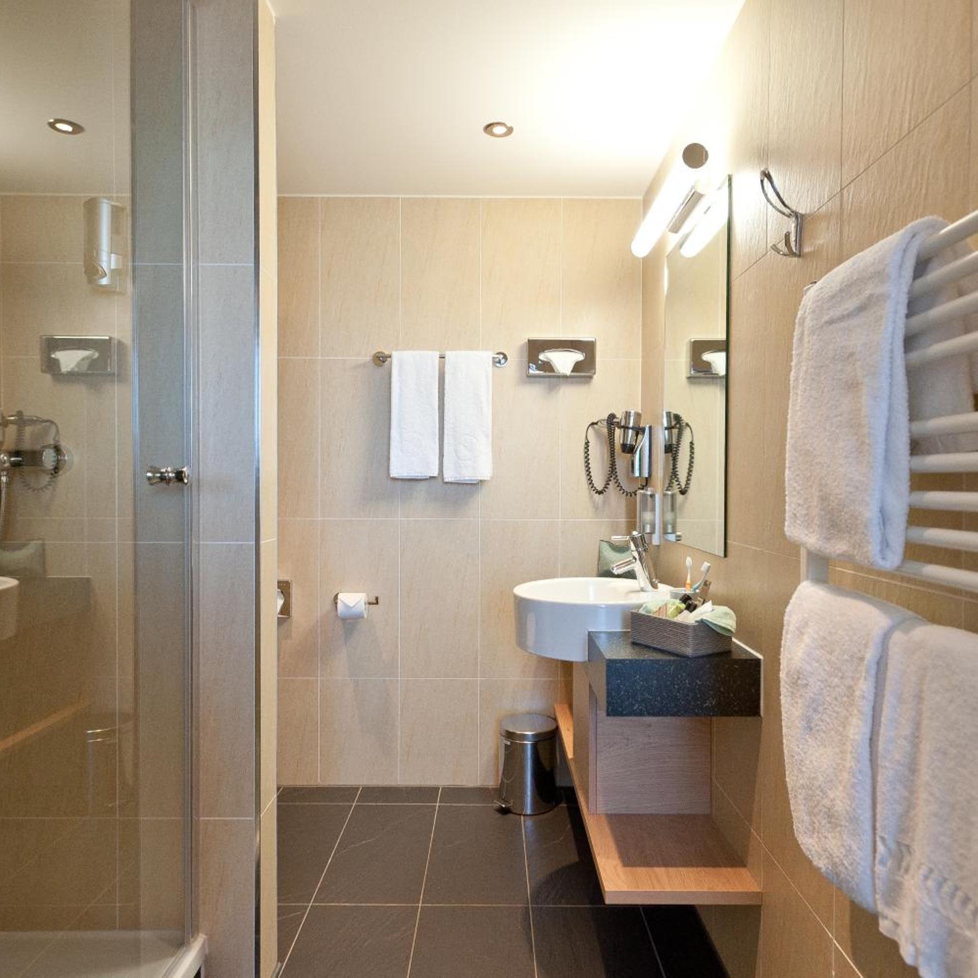 غرفة قياسية بسرير كينج، Hotel Bildungsblick 7/7