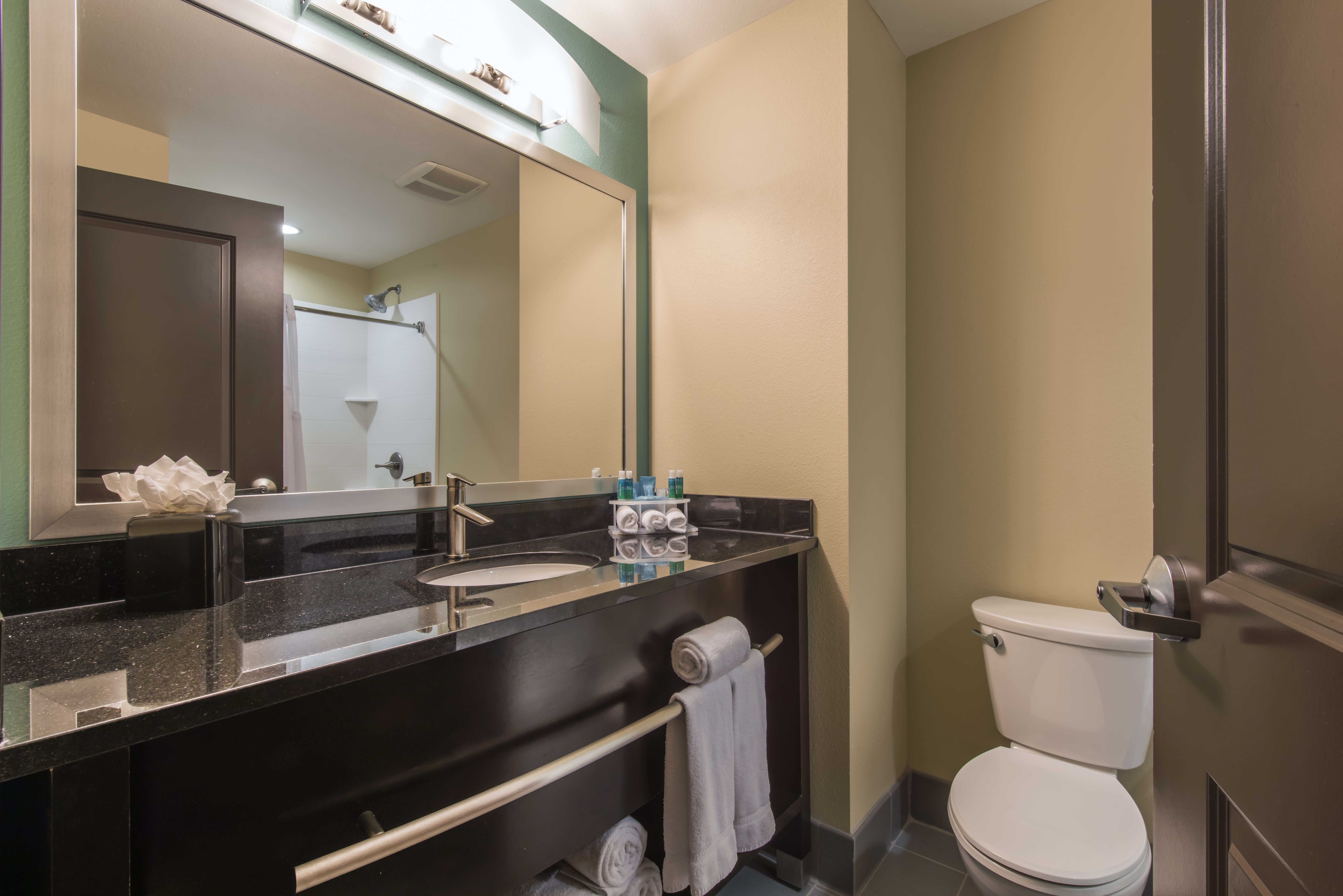 Holiday Inn Express Suites Colorado Springs Central 79/80