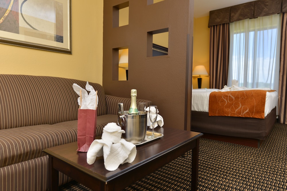 Holiday Inn Express Rochester South Mayo Area 31/43