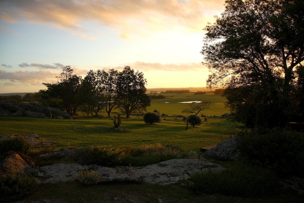 surroundings
