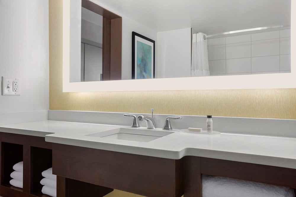 غرفة قياسية بسرير كينج لذوي الإعاقة، Delta Hotels by Marriott Somerset 3/5