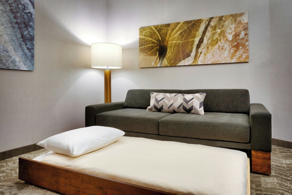 SpringHill Suites by Marriott Cottonwood 21/47