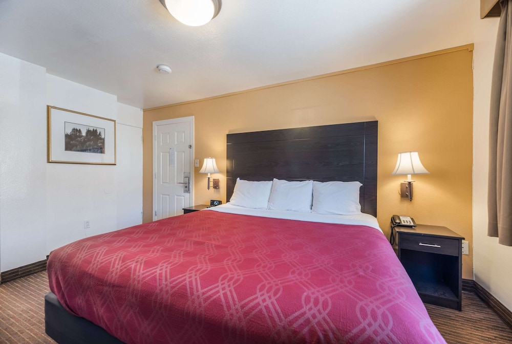 Rodeway Inn Downtown 10/31