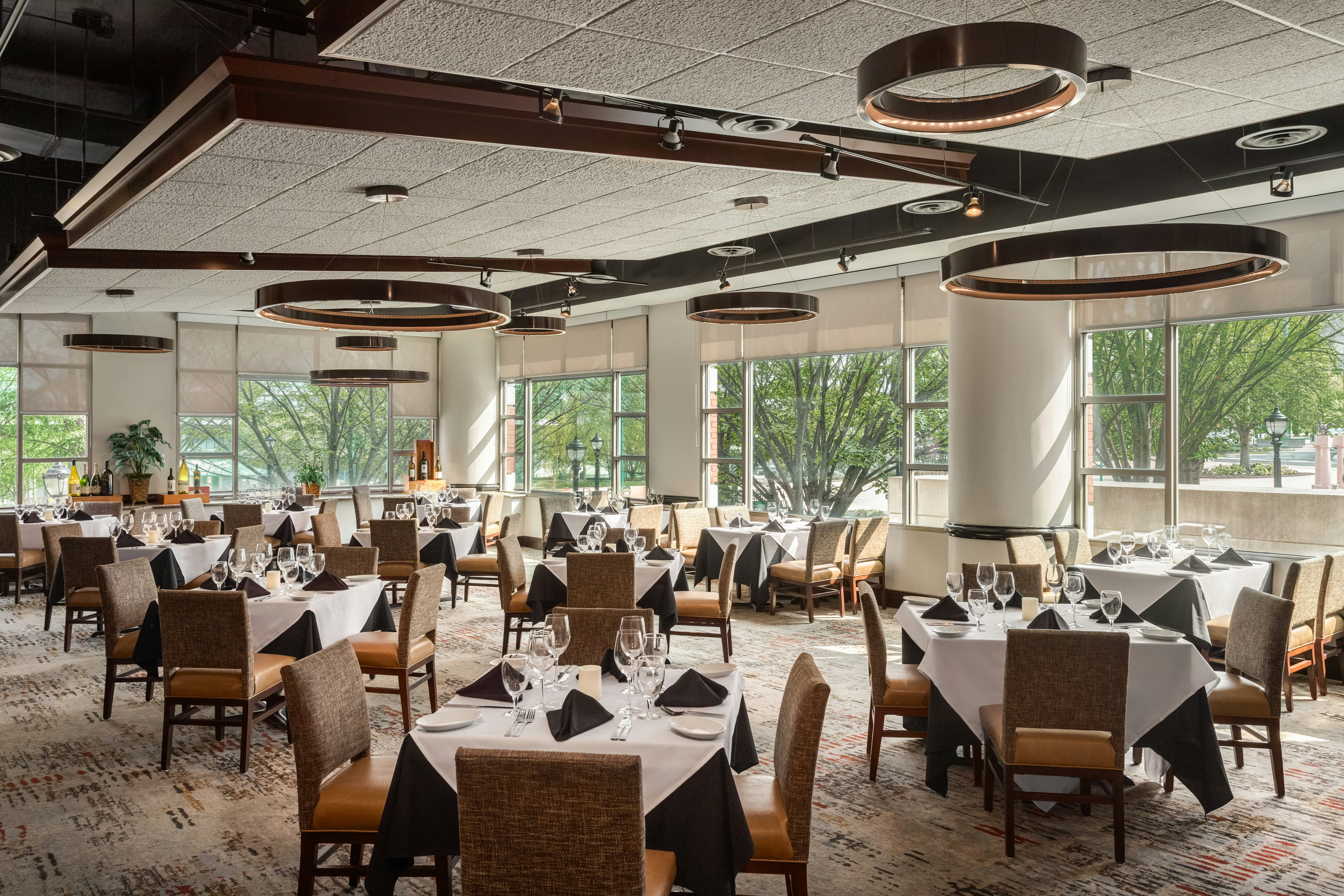 Embassy Suites by Hilton Atlanta at Centennial Olympic Park 45/69