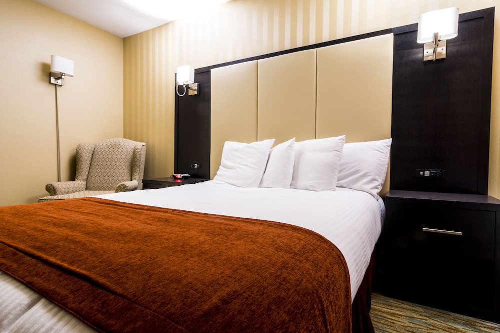 Sinbads Hotel And Suites 10/50