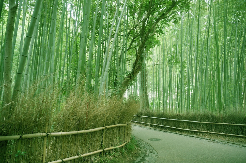 Hotel Binario Saga Arashiyama 33/67