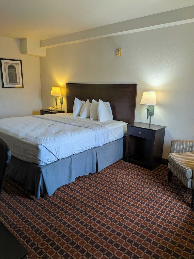 Catalina Inn 20/40