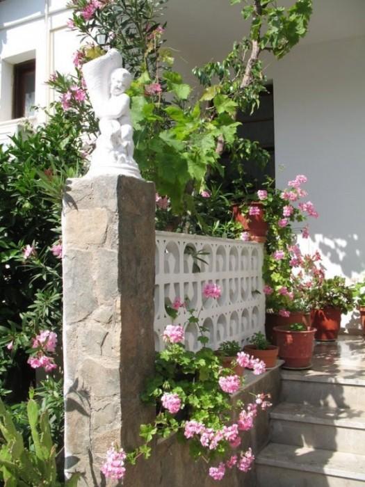 Pigi Pension 18/19