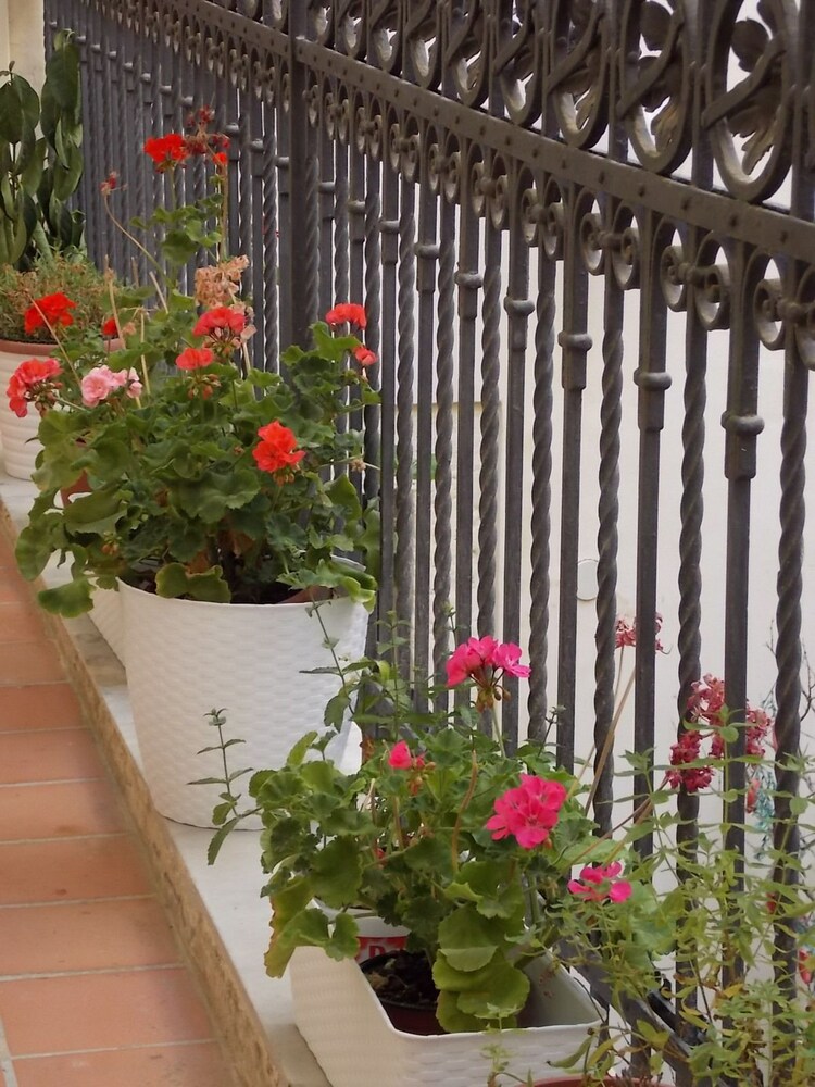B&B Casa D'alleri 3/61