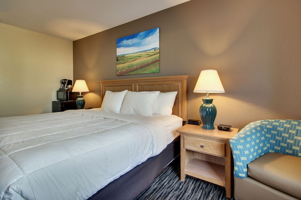 Everspring Inn Suites 26/44