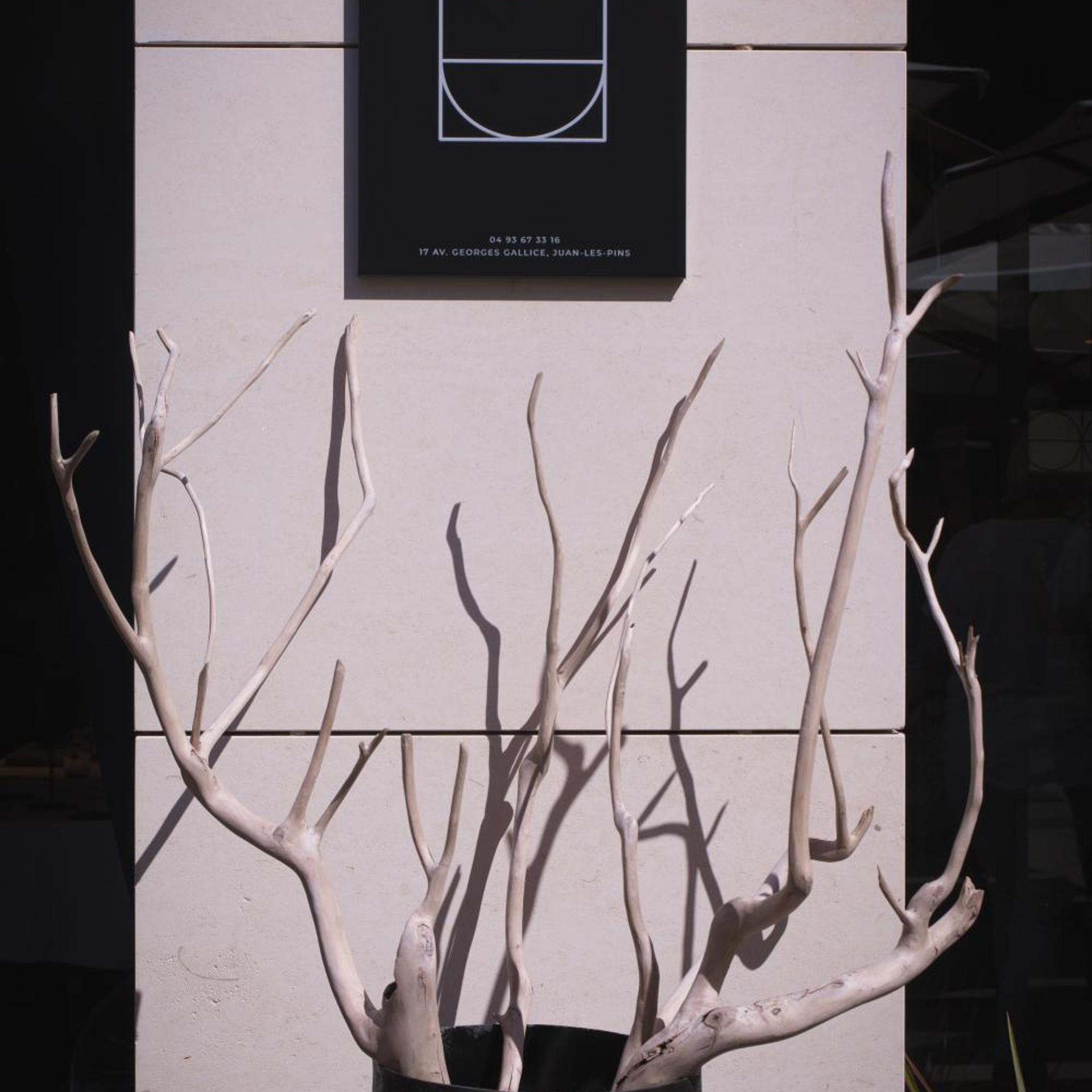 Unique Boutique Hotel Antibes Juan-les-Pins 9/50