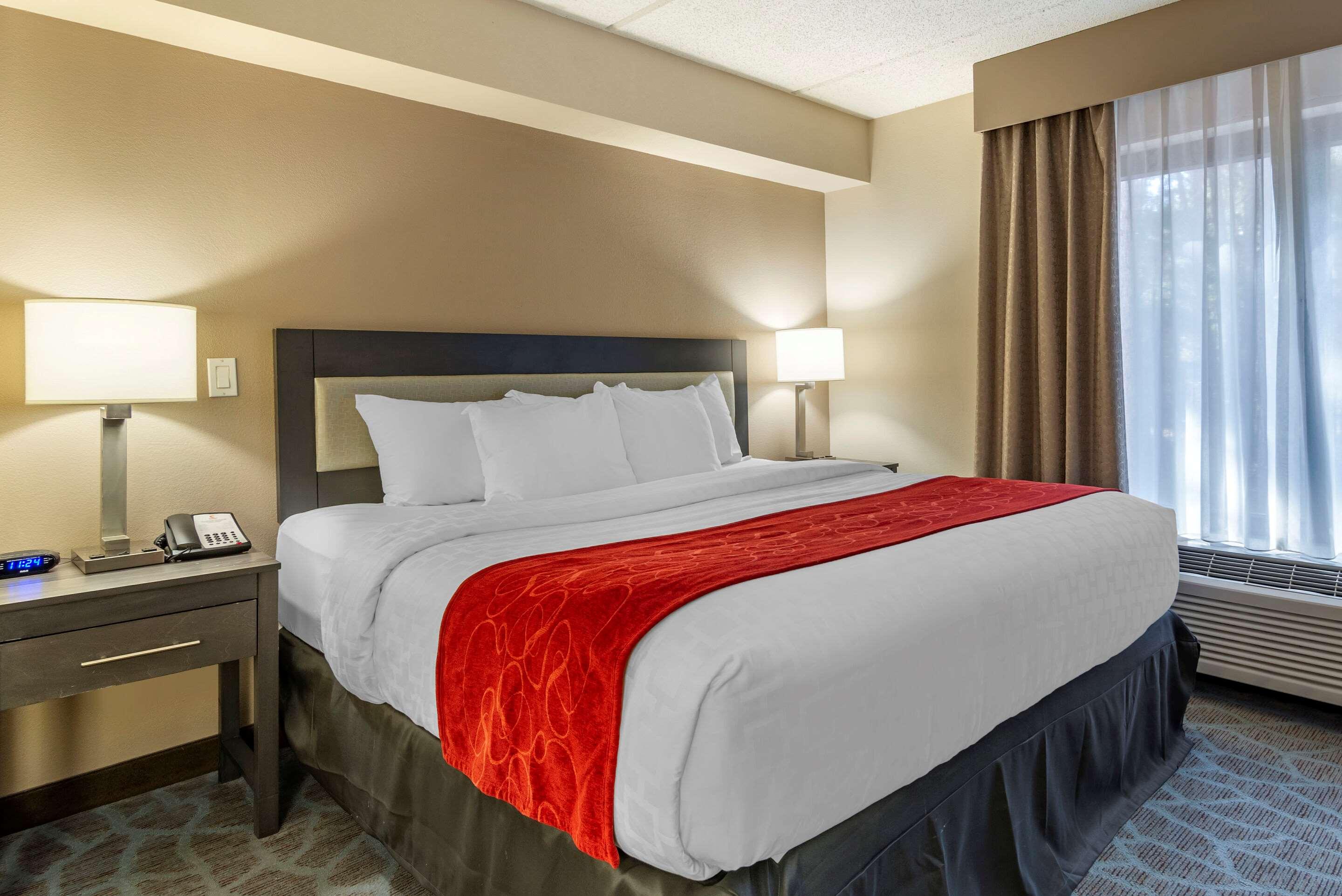 ROOM, KING BED