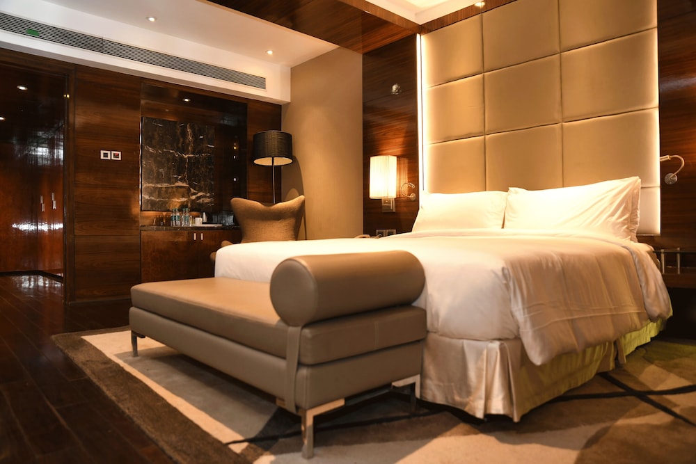 Radisson Blu Plaza Hotel Delhi Airport 34/76