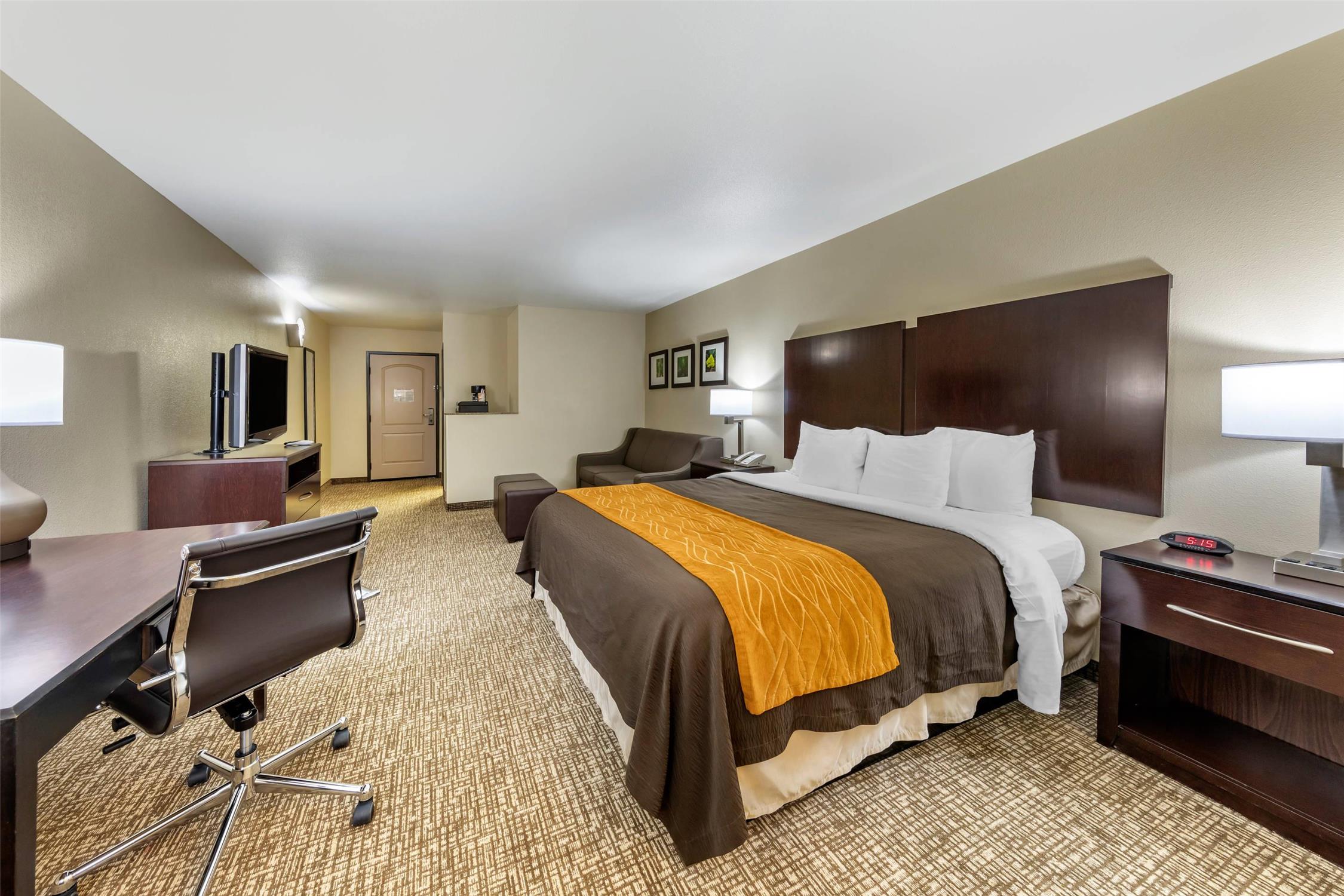 Suite, King Bed