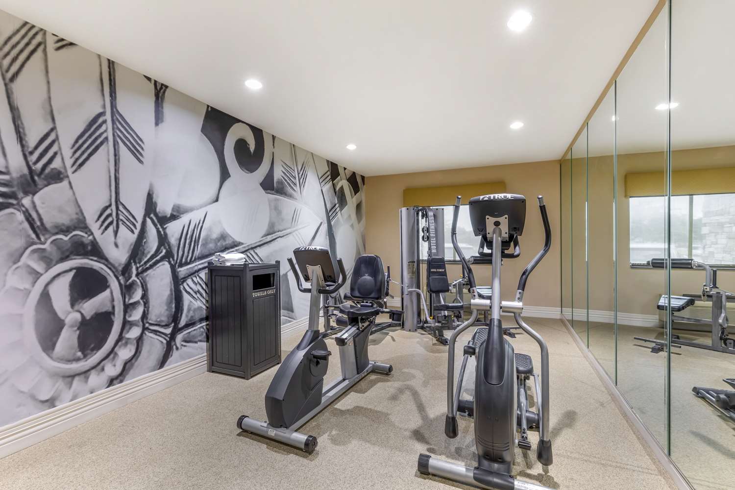 Best Western Plus Burleson Inn & Suites 15/32