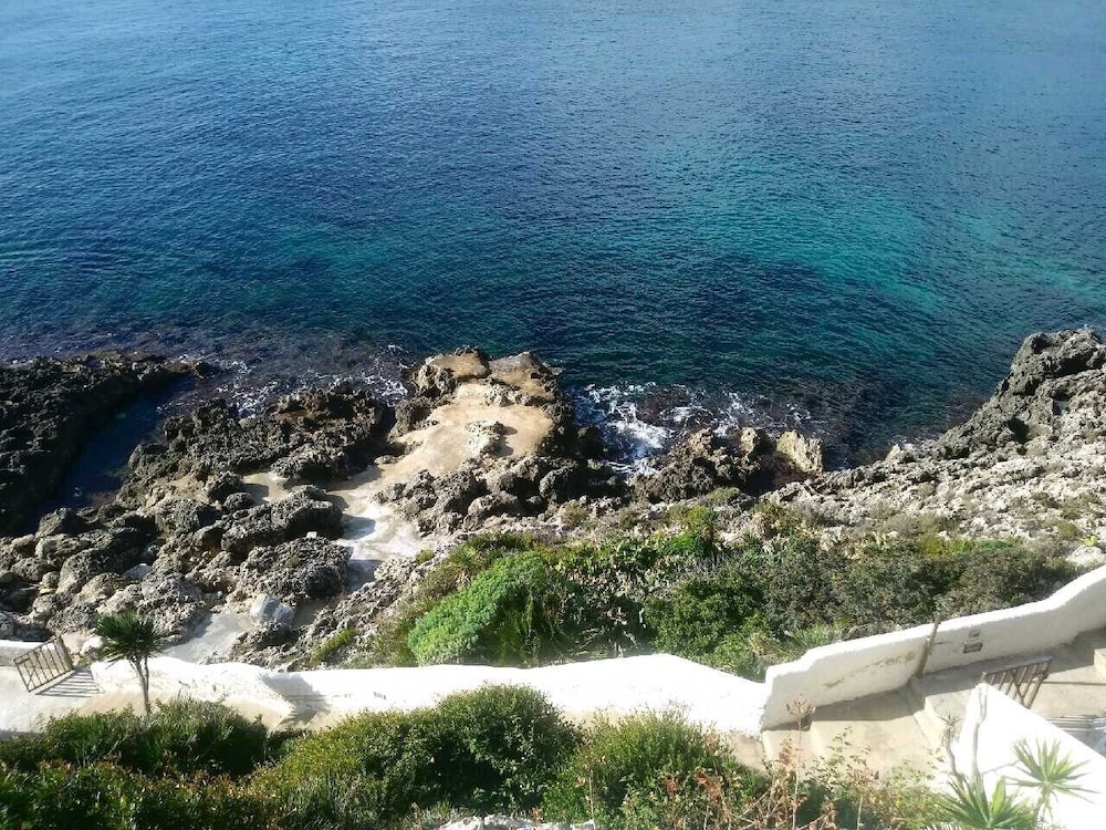 La Rosa Sul Mare 82/83