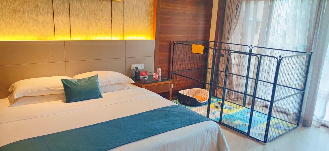 Paradise, Junior Suite, Pet Friendly
