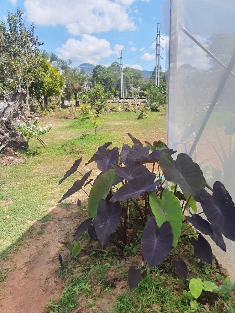 Wangnamkhao Resort 53/63