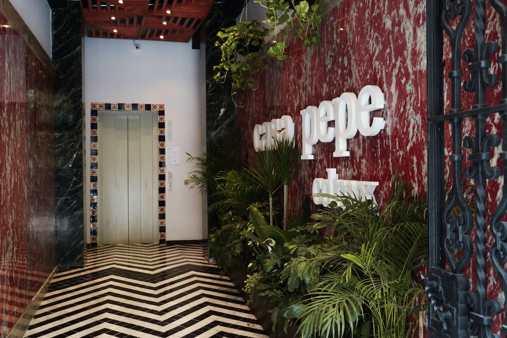 Casa Pepe 46/50