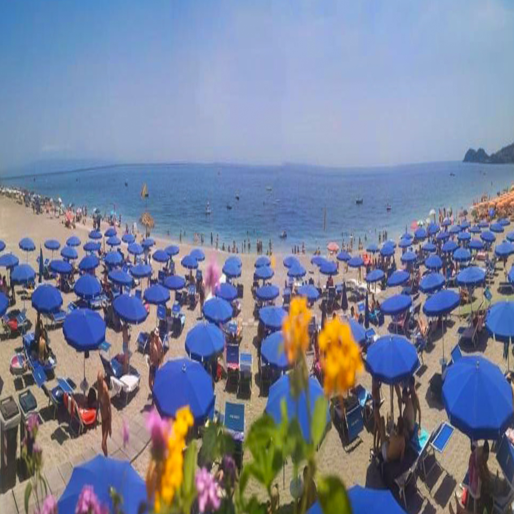 San Vincenzo 39/50