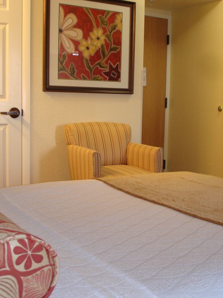 Spark by Hilton Orlando near SeaWorld 11/39