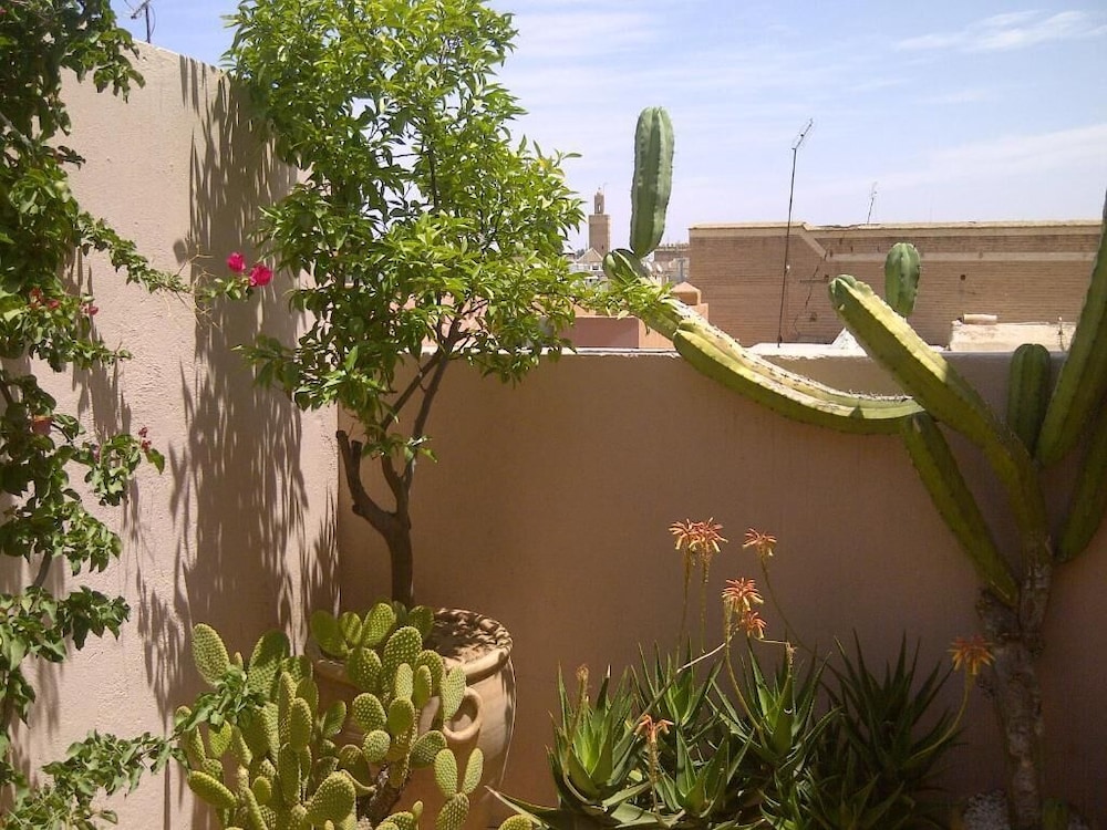 RIAD IRENE 40/50