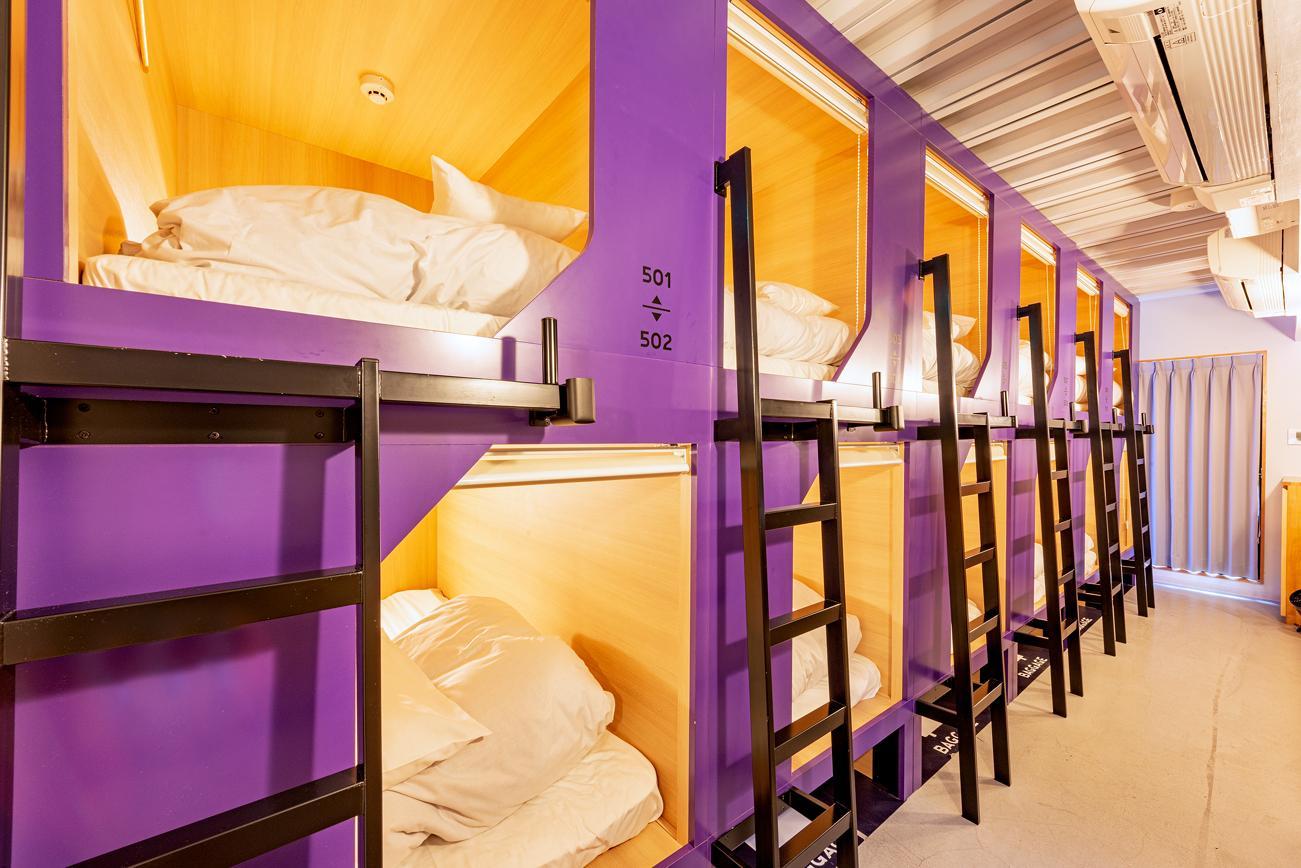 Female Dorm, Female Only