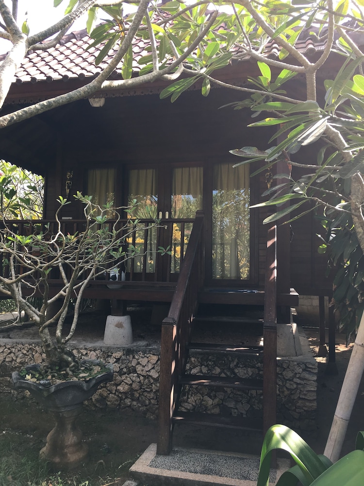 Cassava Bungalow 24/37