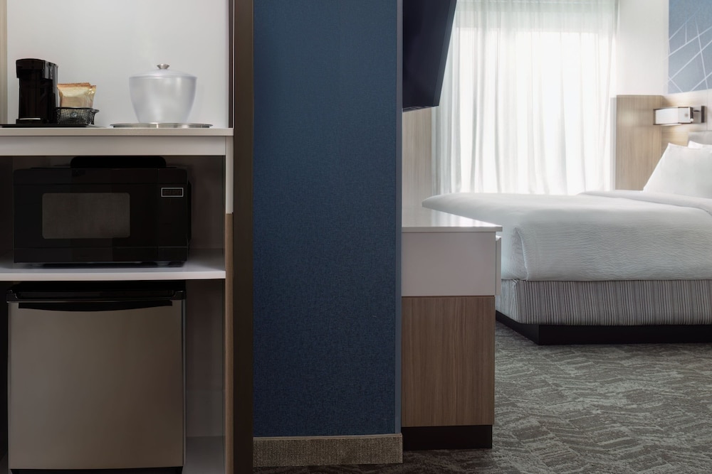 SpringHill Suites by Marriott Pleasanton 11/35