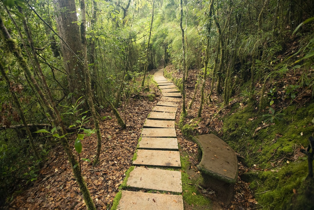 Dantica Cloud Forest Lodge 46/50