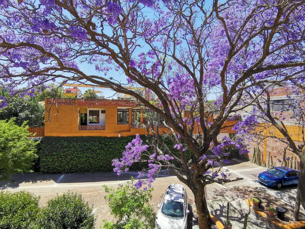 Hotel Hacienda Monteverde San Miguel de Allende 3/87