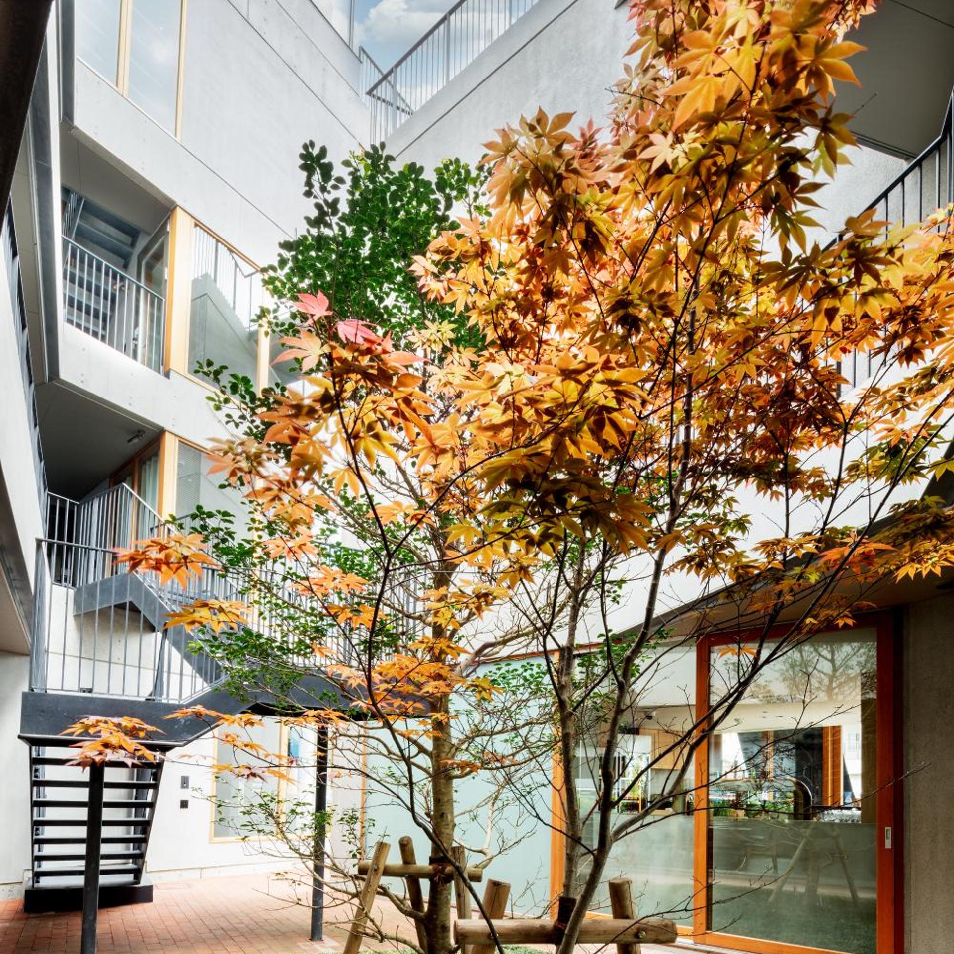 Hotel AO Kamakura 45/50