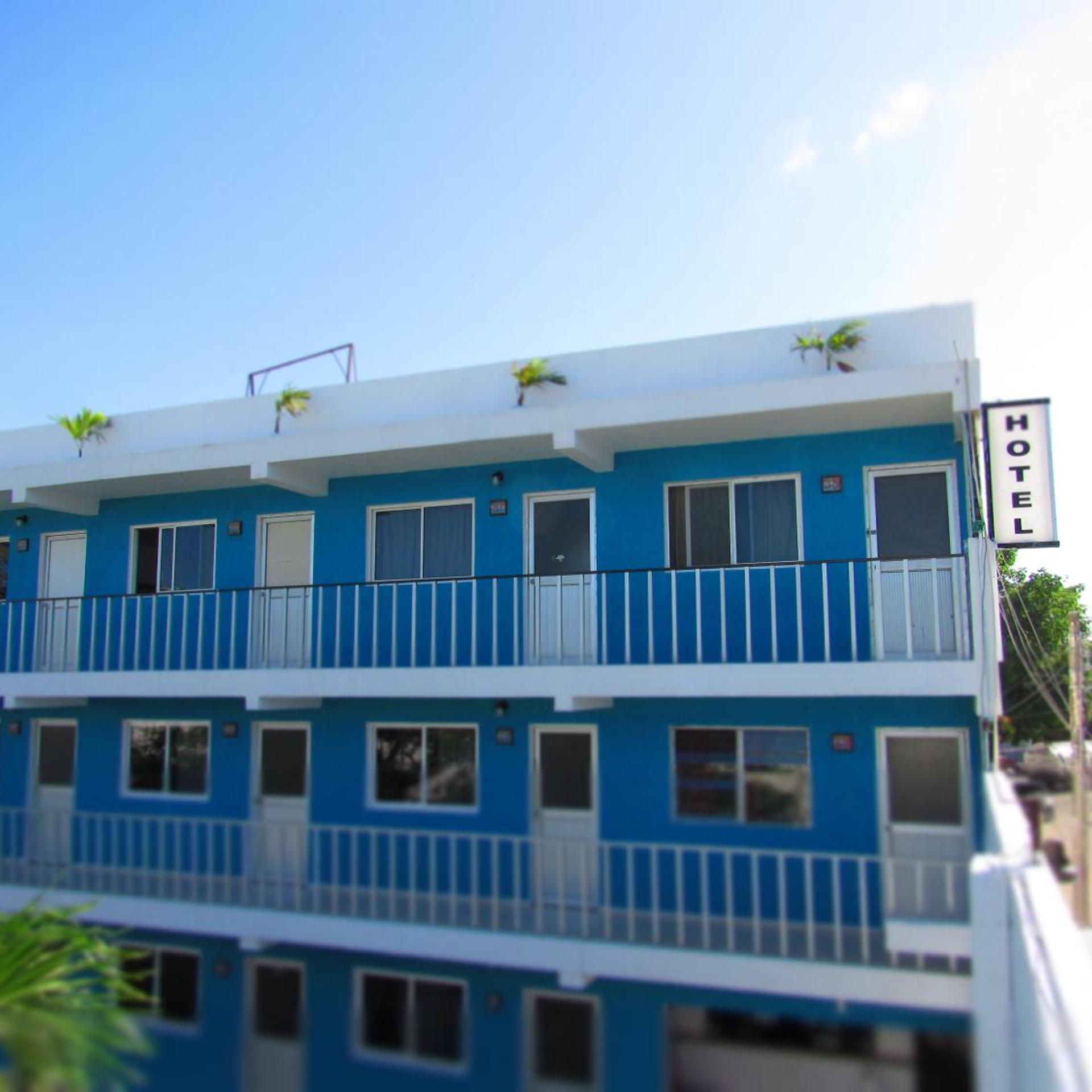 Blue Coconut Cancun 2/52