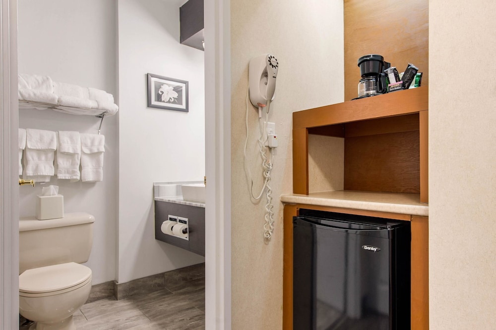 Quality Inn & Suites Gatineau 23/42
