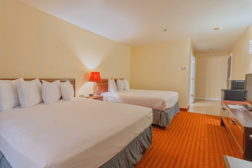 The Monarch 13/50