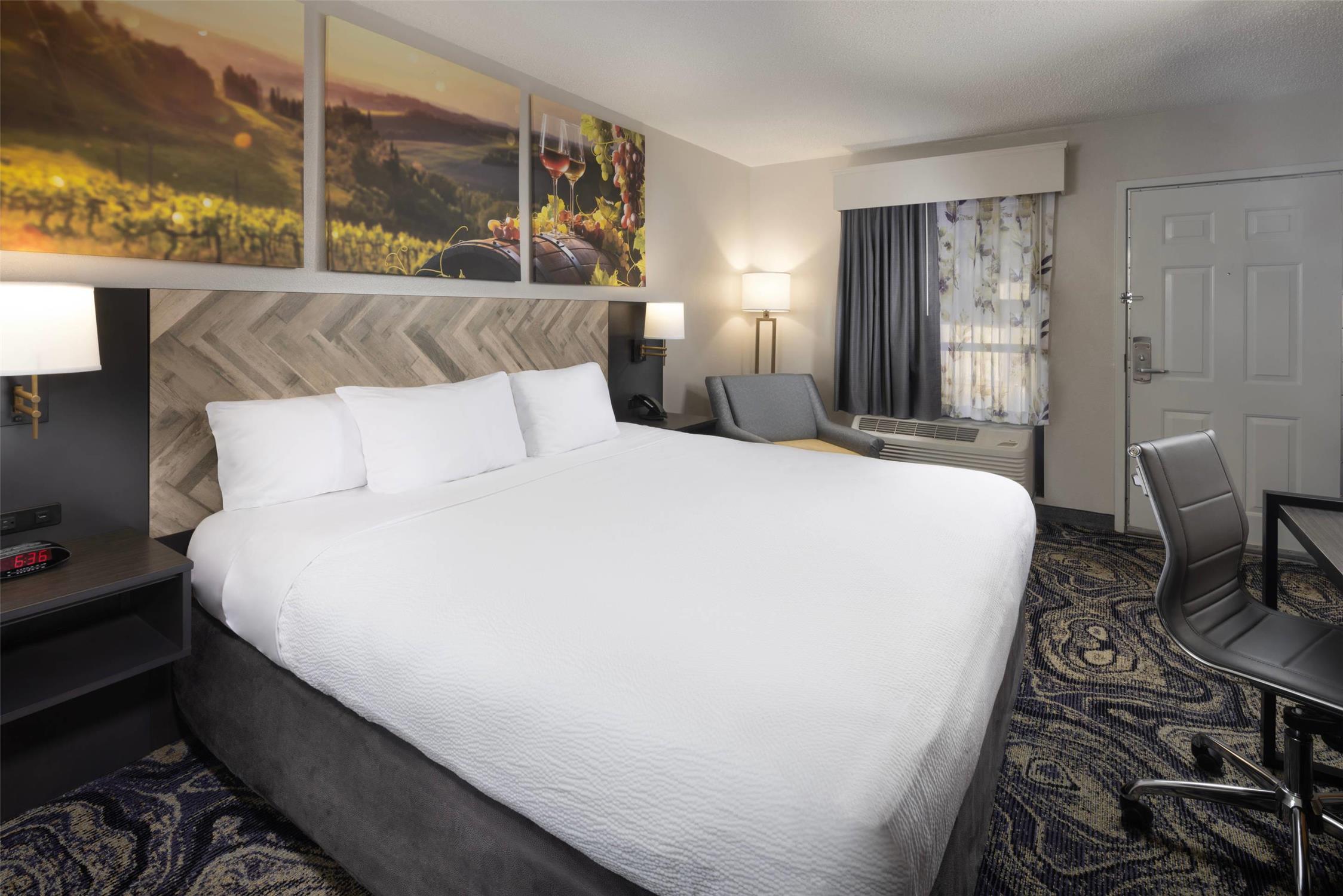 Room, King Bed