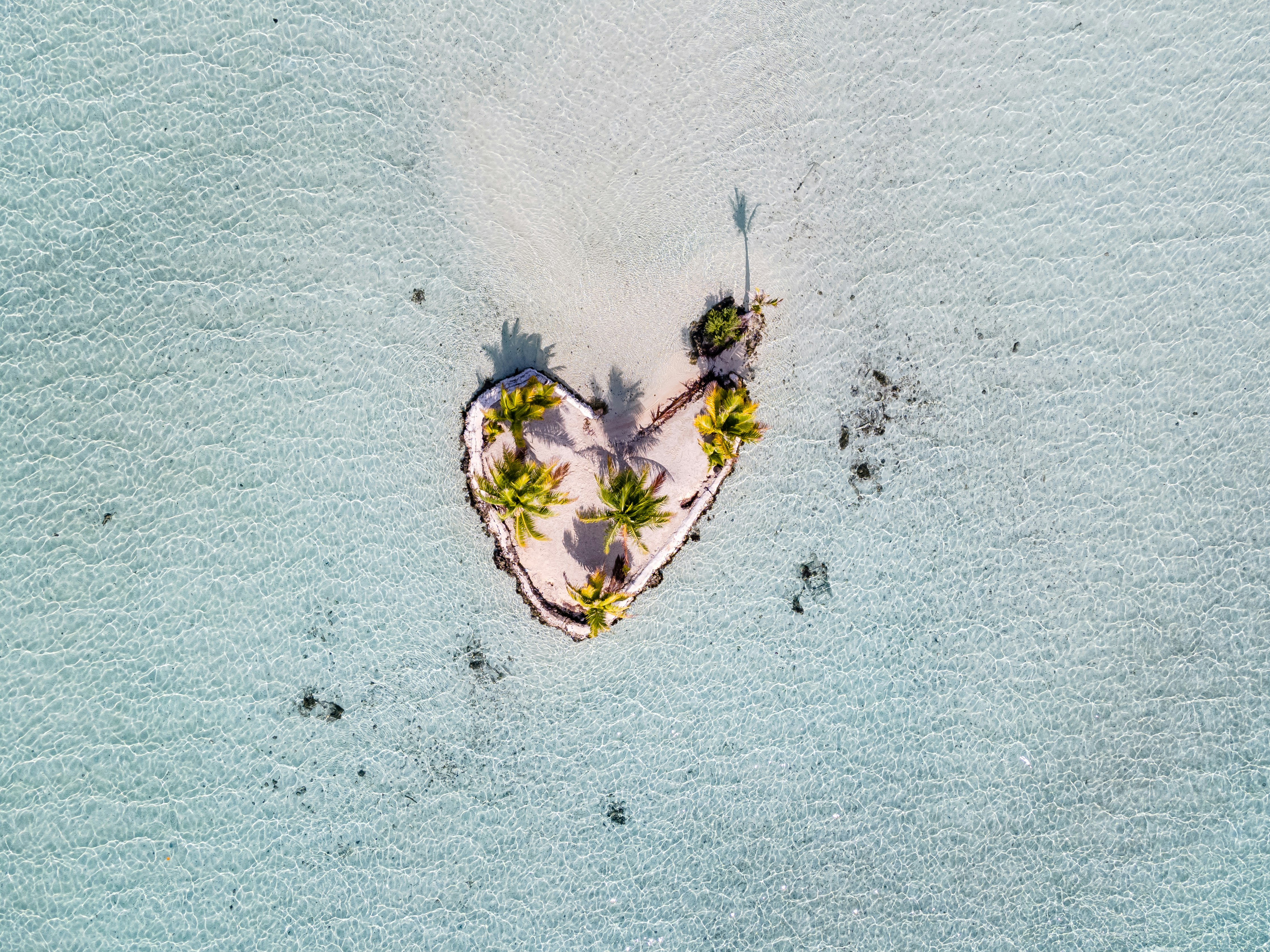 Le Tahaa Private Island And Spa 41/48