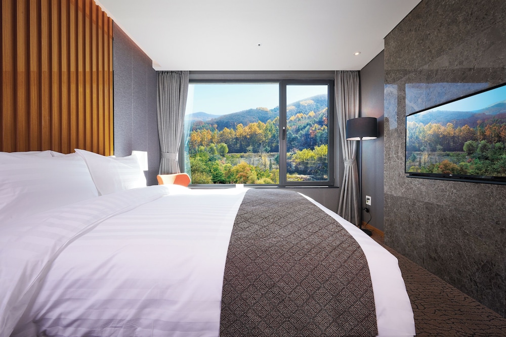 Traum Valley Hotel (ex. Jeongseon Grand Intoraon Hotel) 30/64
